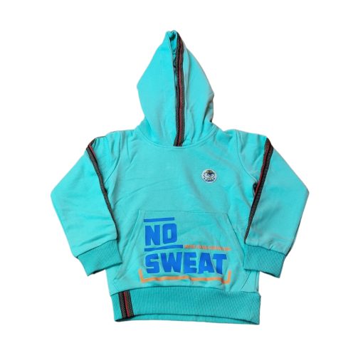 Boy's Premium Hoodie- Beaver
