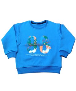 Boy's Sky Blue Sweatshirt- 98